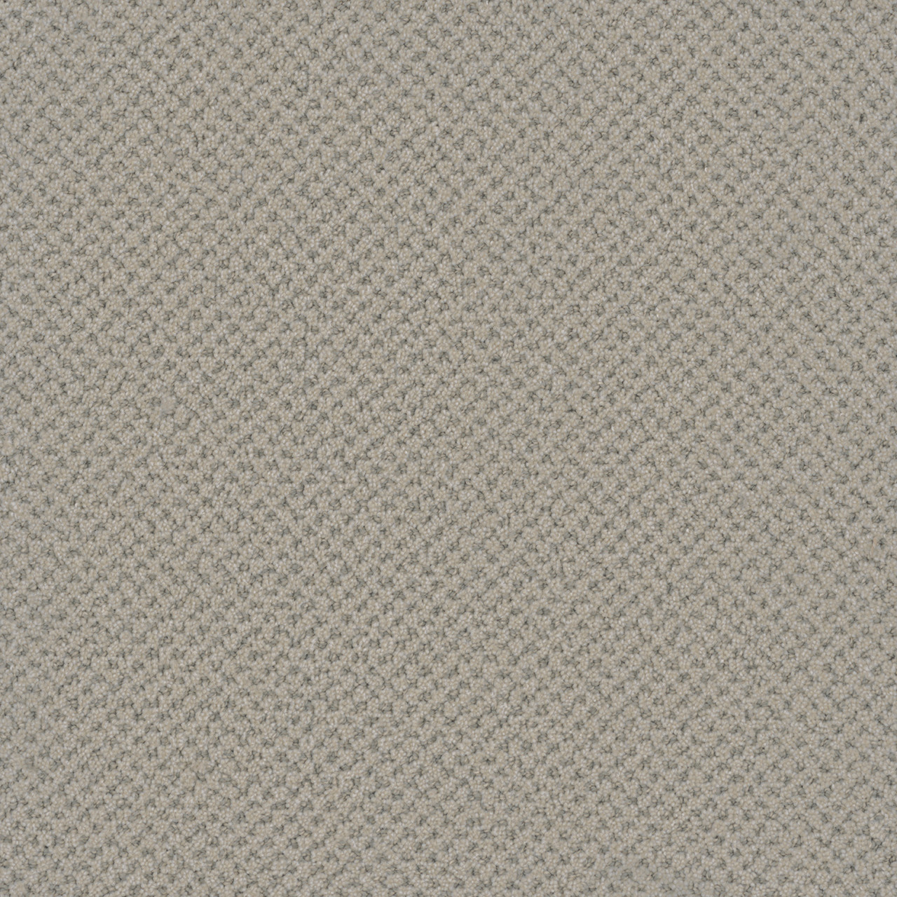 Dreamweaver Carpet Vintage Charm Heirloom Carpet 3435_2861