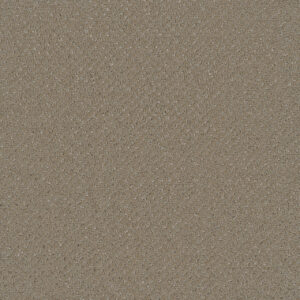 Dreamweaver Carpet Vintage Charm Old Soul Carpet 3435_2870
