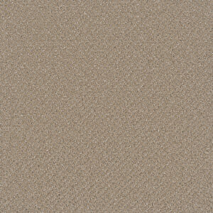 Dreamweaver Carpet Vintage Charm Shortbread Carpet 3435_2946