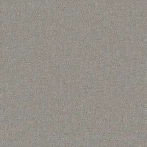 Dreamweaver Carpet Mystique Star Dust Carpet 3575_2070
