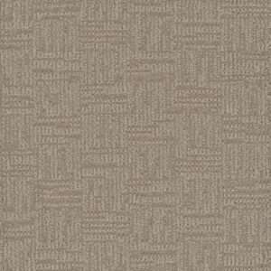 Dreamweaver Carpet Mystique Pale Birch Carpet 3575_5040