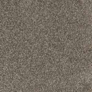 Dreamweaver Carpet Trendsetter I New Haven Carpet 3640_103