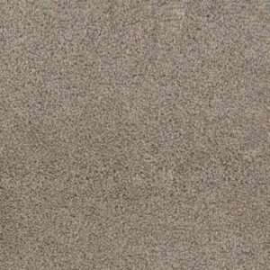 Dreamweaver Carpet Trendsetter I Meadow Trail Carpet 3640_192