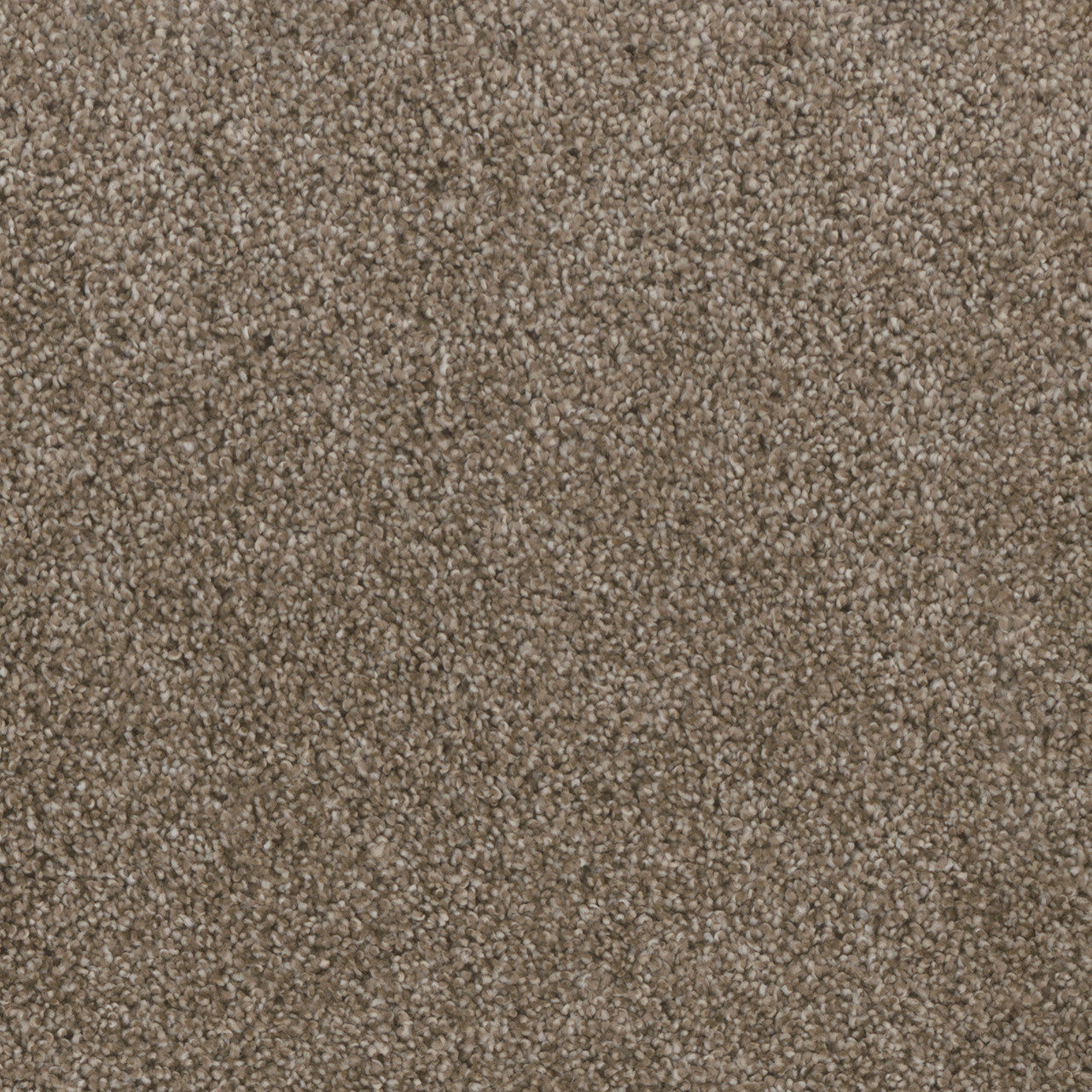 Dreamweaver Carpet Trendsetter II Oatlands Carpet 3655_201