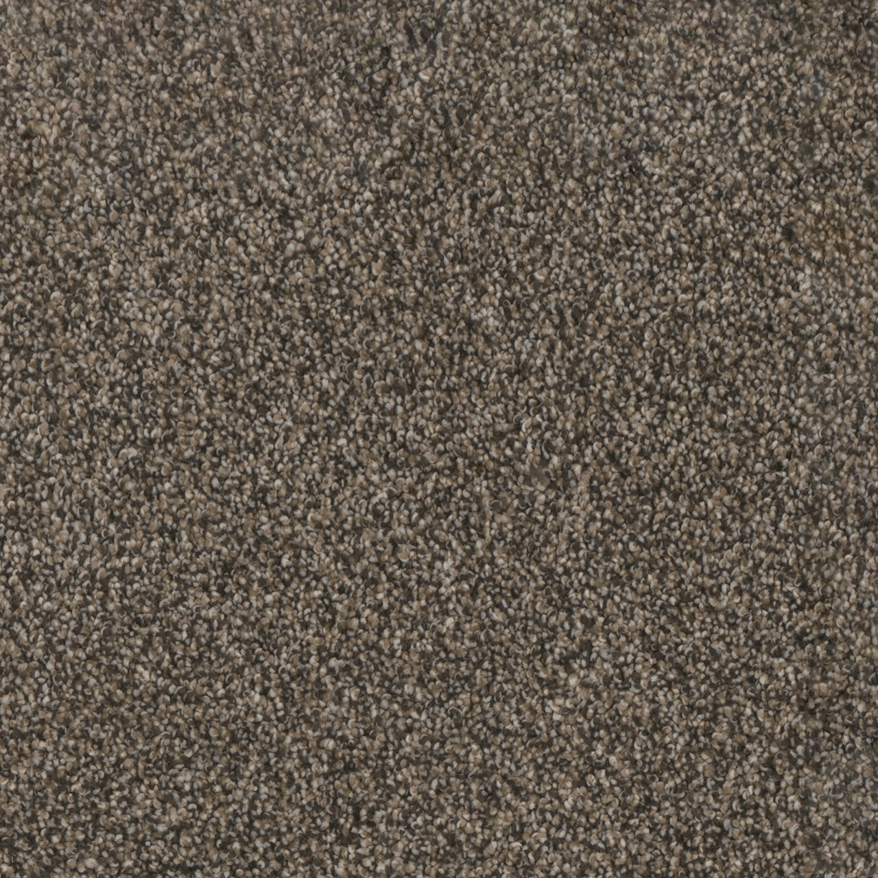 Dreamweaver Carpet Trendsetter II Russett Carpet 3655_217