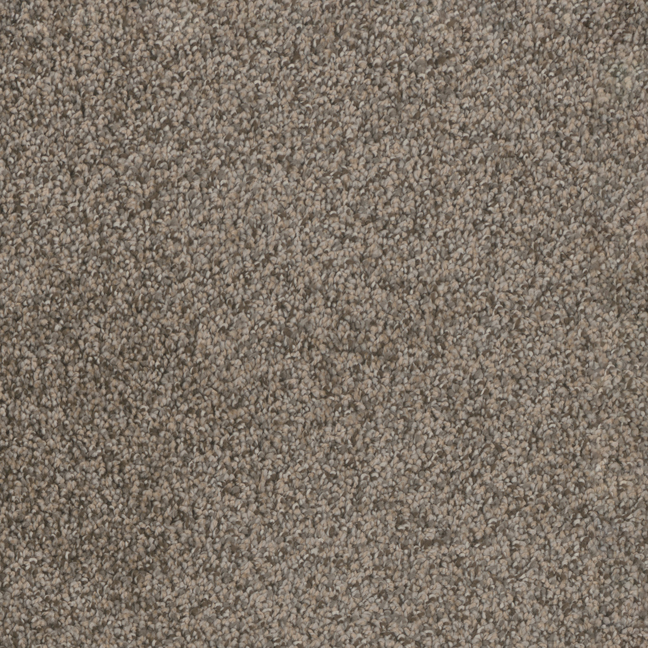 Dreamweaver Carpet Trendsetter I Twig Carpet 3640_247