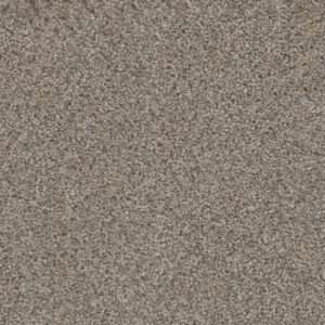Dreamweaver Carpet Trendsetter I Glimmer Carpet 3640_262