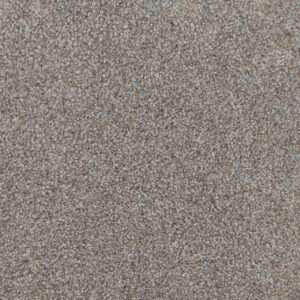 Dreamweaver Carpet Trendsetter I Crystal Clear Carpet 3640_302