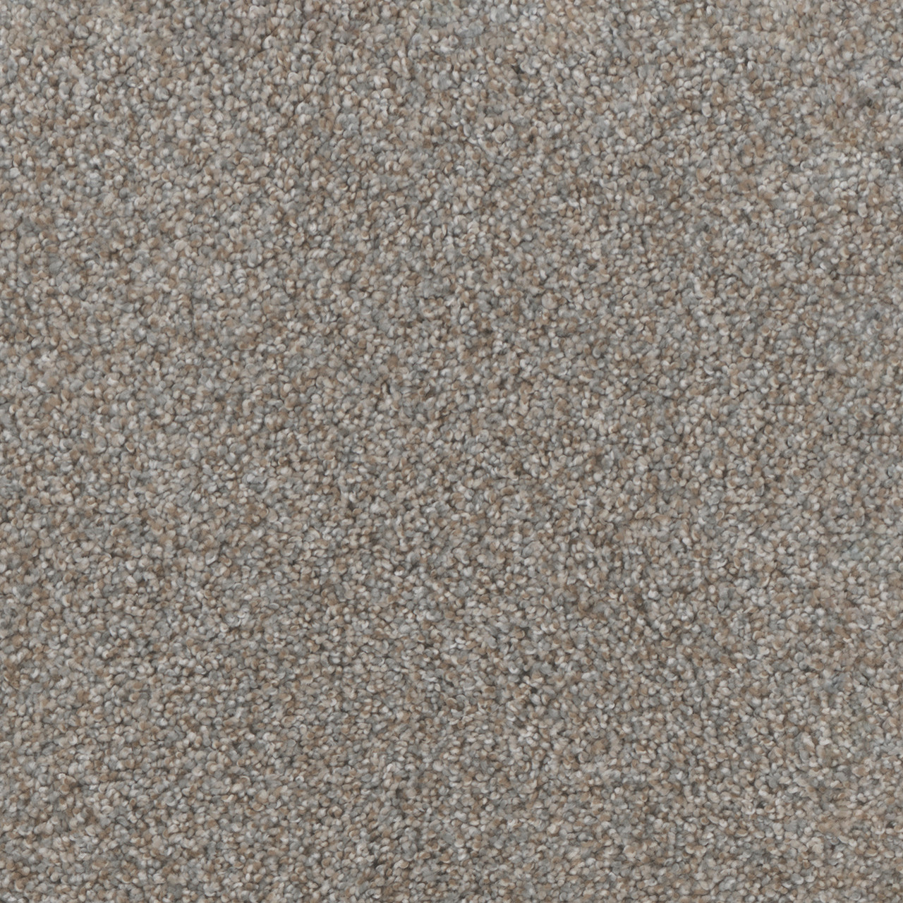 Dreamweaver Carpet Trendsetter II Crystal Clear Carpet 3655_302