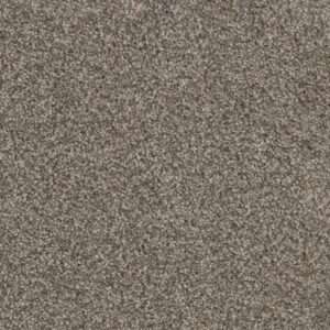 Dreamweaver Carpet Trendsetter I Sageview Carpet 3640_327