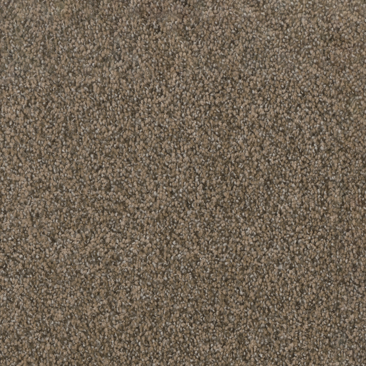 Dreamweaver Carpet Trendsetter II Smokey Taupe Carpet 3655_381