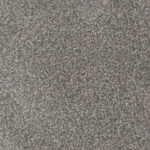 Dreamweaver Carpet Trendsetter I Willow Tree Carpet 3640_422