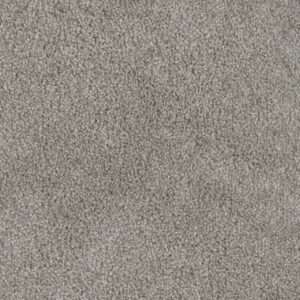 Dreamweaver Carpet Trendsetter I Dove Carpet 3640_800