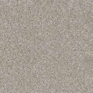 Dreamweaver Carpet Trendsetter I Acadia Carpet 3640_828