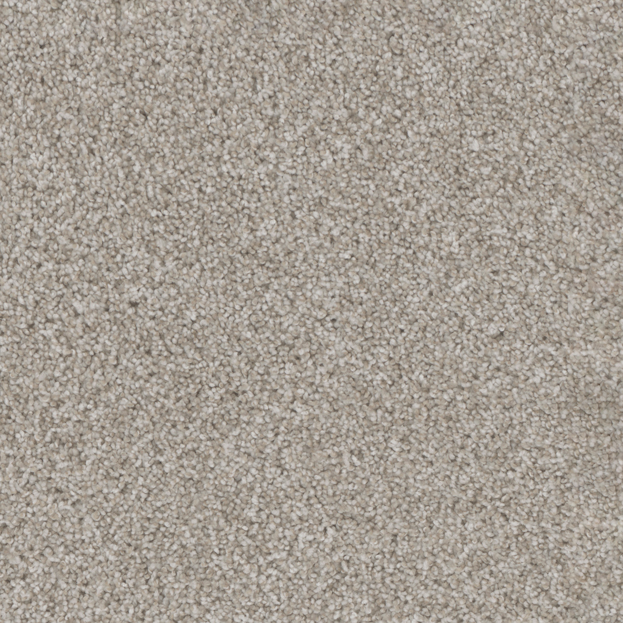 Dreamweaver Carpet Trendsetter II Acadia Carpet 3655_828