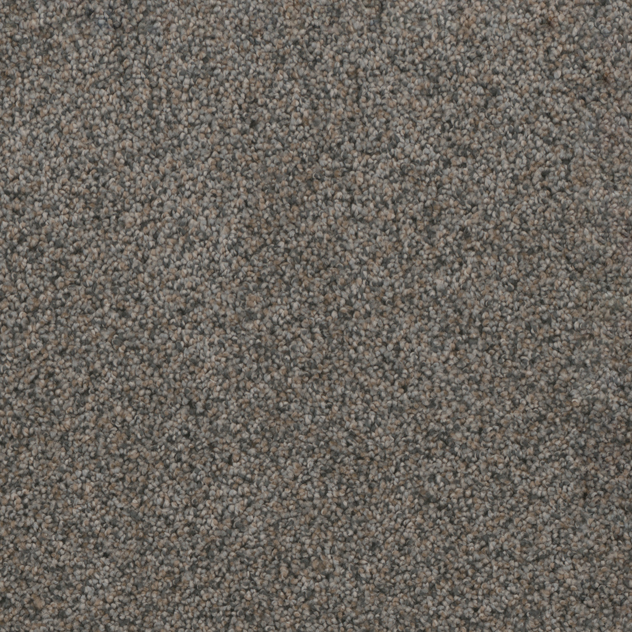 Dreamweaver Carpet Trendsetter II Ash Grove Carpet 3655_899