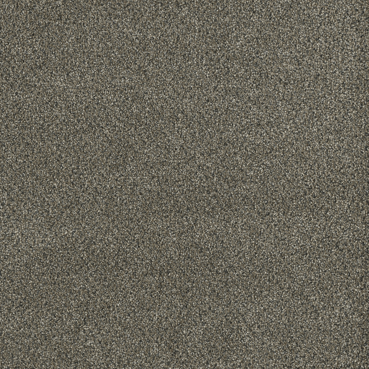 Dreamweaver Carpet Malibu III Brentwood Carpet 3760_258