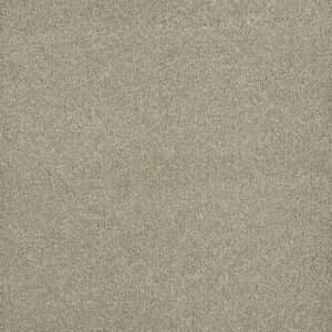 Dreamweaver Carpet Malibu II Oak Barrel Carpet 3750_430