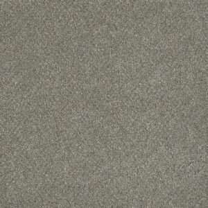 Dreamweaver Carpet Malibu II Ancient Marble Carpet 3750_473