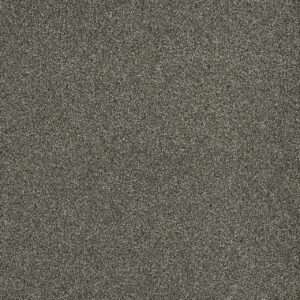 Dreamweaver Carpet Malibu II Baltic Birch Carpet 3750_622