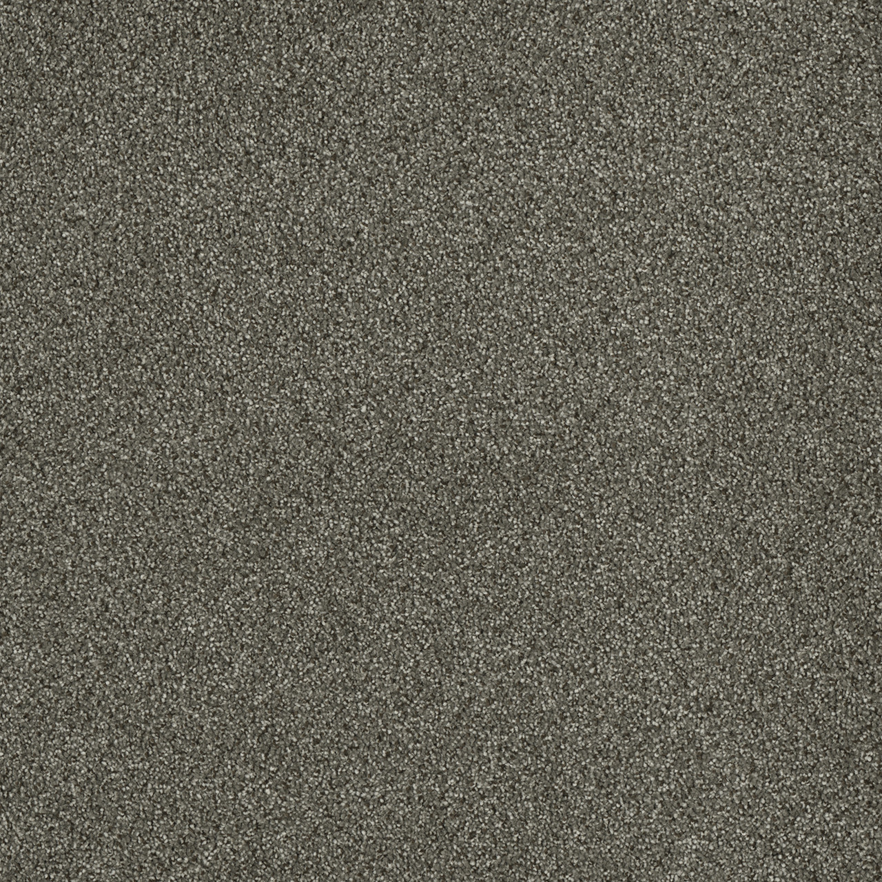 Dreamweaver Carpet Malibu III Baltic Birch Carpet 3760_622