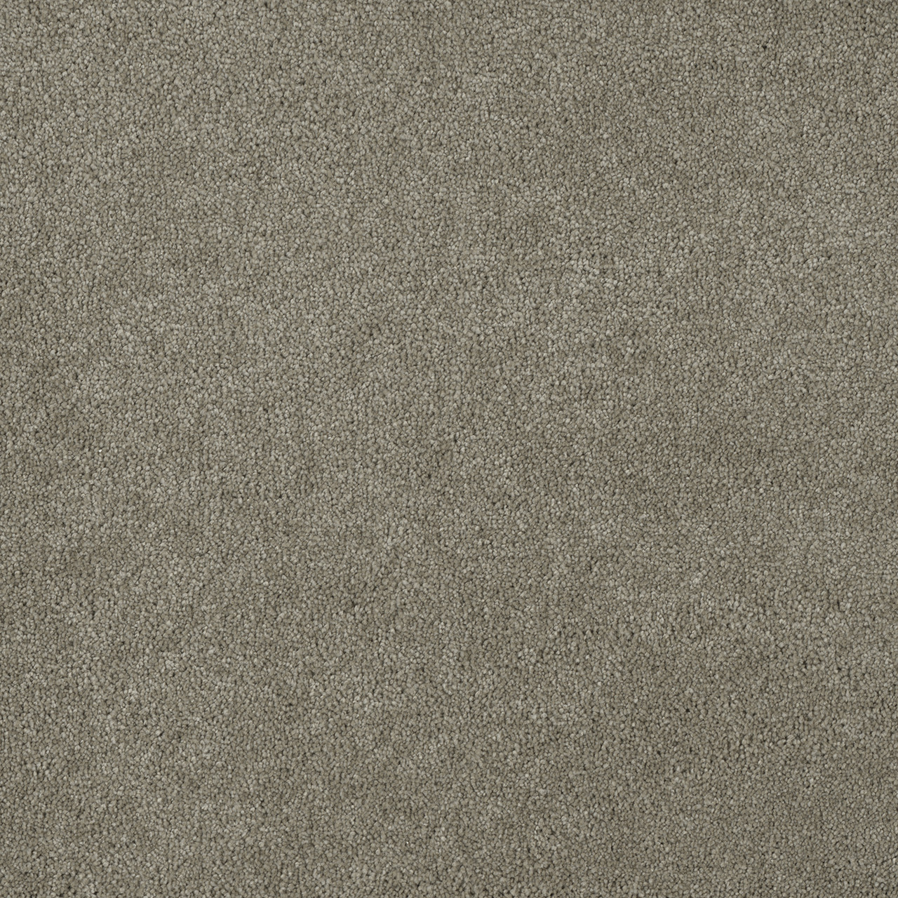 Dreamweaver Carpet Malibu III Soft Leather Carpet 3760_861