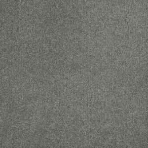 Dreamweaver Carpet Malibu II Dark Platinum Carpet 3750_889