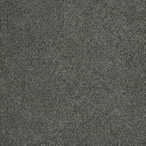 Dreamweaver Carpet Malibu II Pavilion Carpet 3750_958