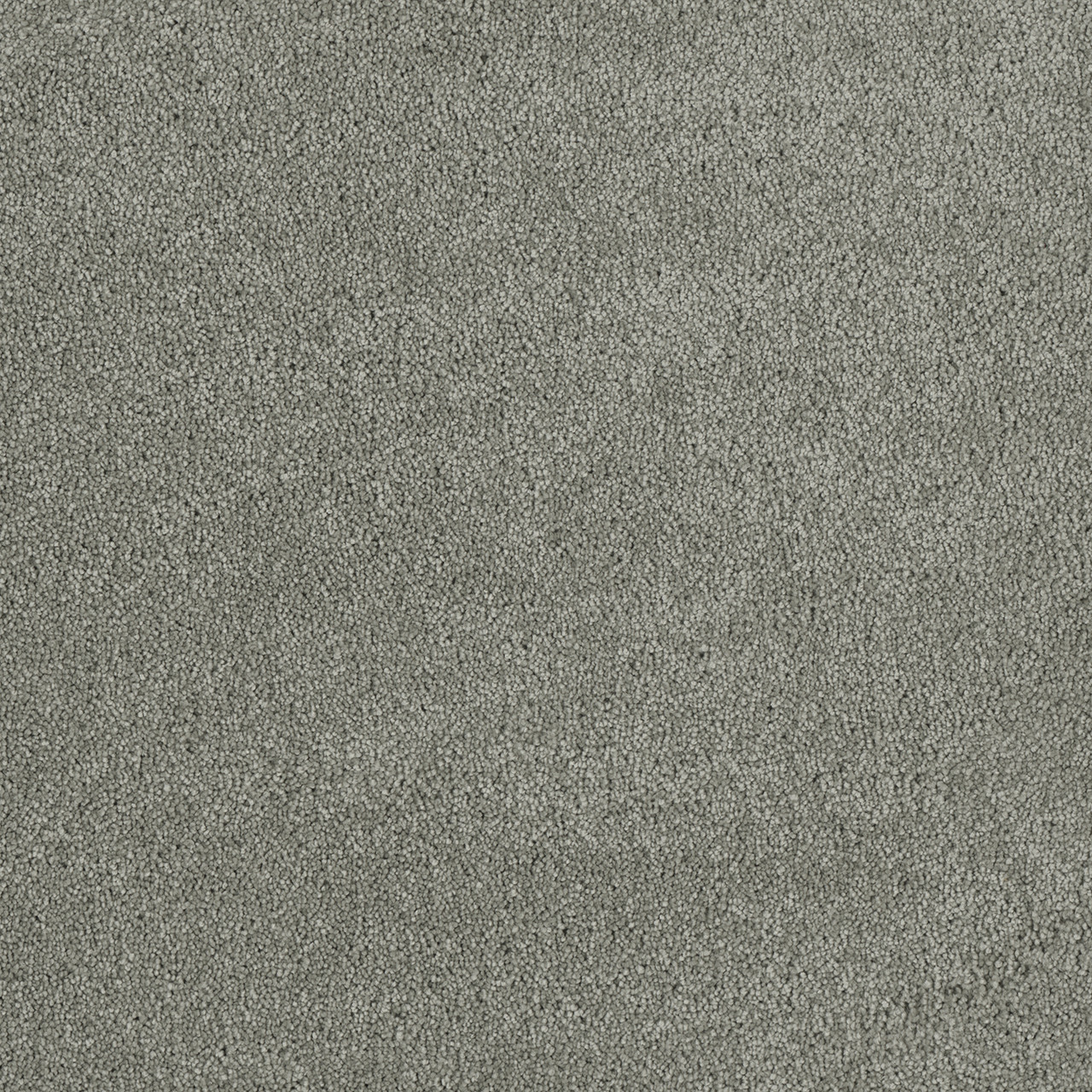 Dreamweaver Carpet Malibu III Shamrock Carpet 3760_973