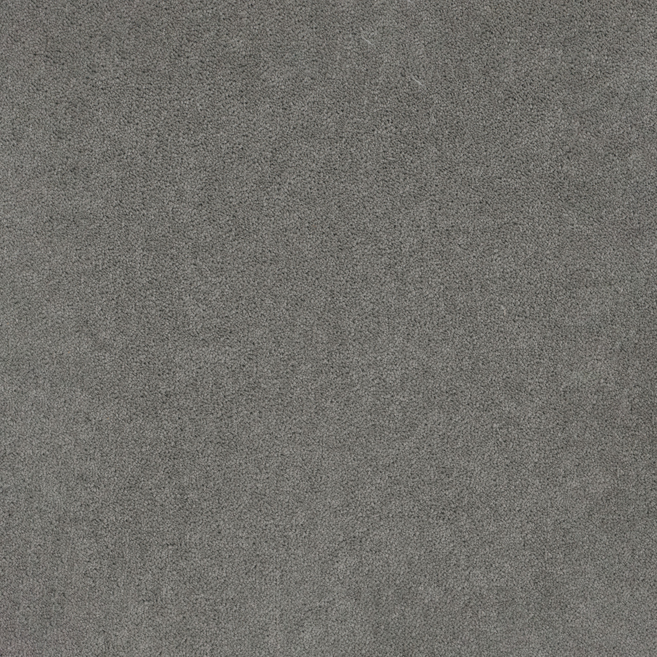 Dreamweaver Carpet Star Struck Smoke Carpet 4032_420
