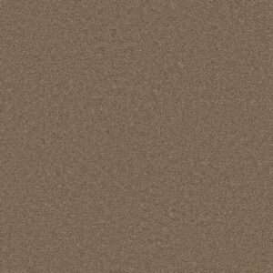 Dreamweaver Carpet Star Struck Cashew Carpet 4032_530