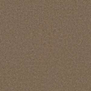 Dreamweaver Carpet Star Struck Bamboo Carpet 4032_565