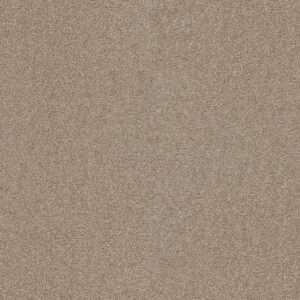 Dreamweaver Carpet Star Struck Sawgrass Carpet 4032_701