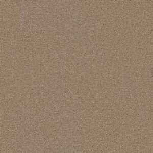 Dreamweaver Carpet Star Struck Sand Carpet 4032_710
