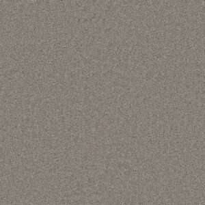 Dreamweaver Carpet Star Struck Dove Carpet 4032_800