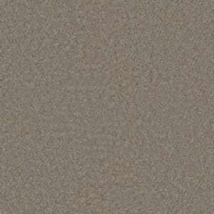 Dreamweaver Carpet Star Struck Iron Frost Carpet 4032_815