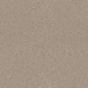 Dreamweaver Carpet Star Struck Linen Carpet 4032_824