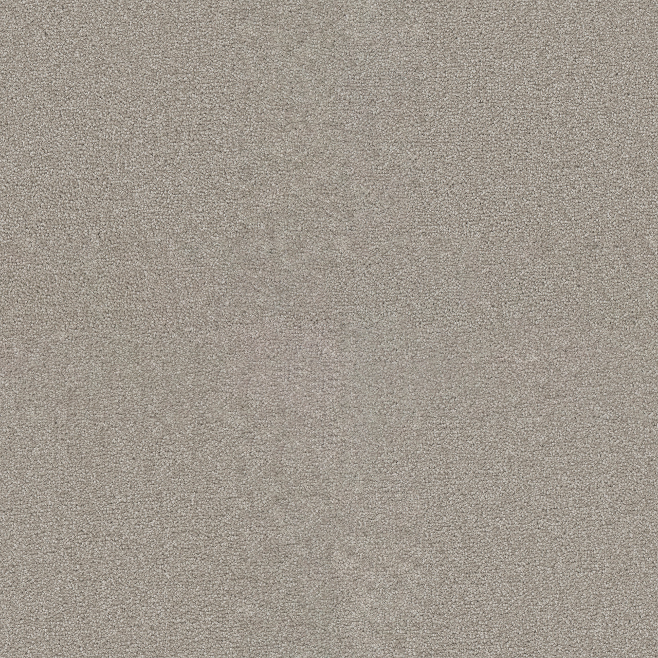 Dreamweaver Carpet Star Struck Silver Lining Carpet 4032_830