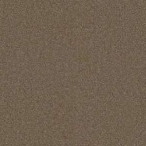 Dreamweaver Carpet Star Struck Acorn Carpet 4032_858