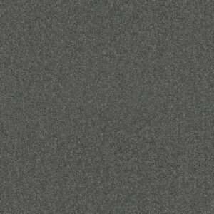 Dreamweaver Carpet Star Struck Pewter Carpet 4032_890