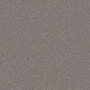 Dreamweaver Carpet Star Struck Chrome Carpet 4032_927