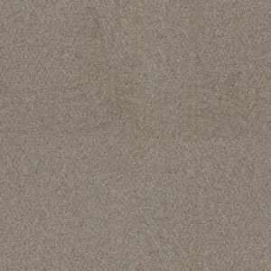 Dreamweaver Carpet Star Struck Ash Carpet 4032_945