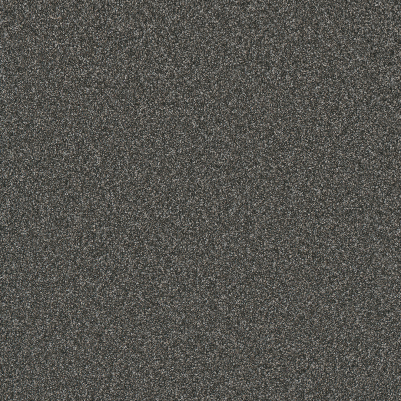 Dreamweaver Carpet Gold Standard III Mica Carpet 4066_2185