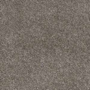 Dreamweaver Carpet Gold Standard III Pewter Carpet 4066_2316