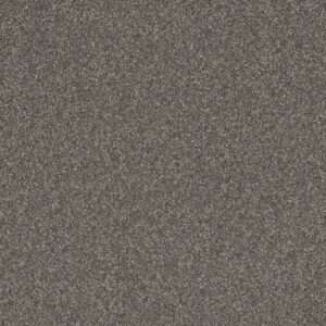 Dreamweaver Carpet Gold Standard III Graphite Carpet 4066_2330