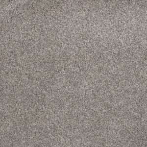 Dreamweaver Carpet Gold Standard III Crystal Carpet 4066_2448