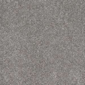 Dreamweaver Carpet Gold Standard III Chrome Carpet 4066_2484
