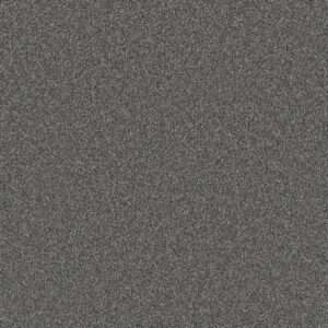 Dreamweaver Carpet Gold Standard III Galvanized Carpet 4066_2494