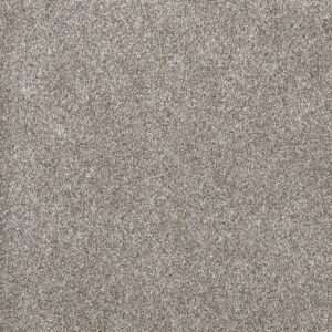 Dreamweaver Carpet Gold Standard III Sterling Carpet 4066_2508