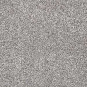 Dreamweaver Carpet Gold Standard III Quartz Carpet 4066_2678